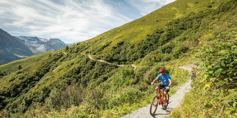 summer2020_biken_02