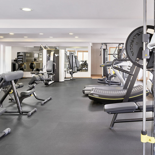 Fitnesscenter in the Adler Inn